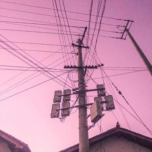 久久国产免费观看精品
