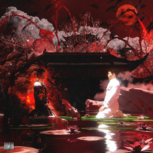 久久国产免费观看精品
