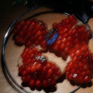 久久国产免费观看精品
